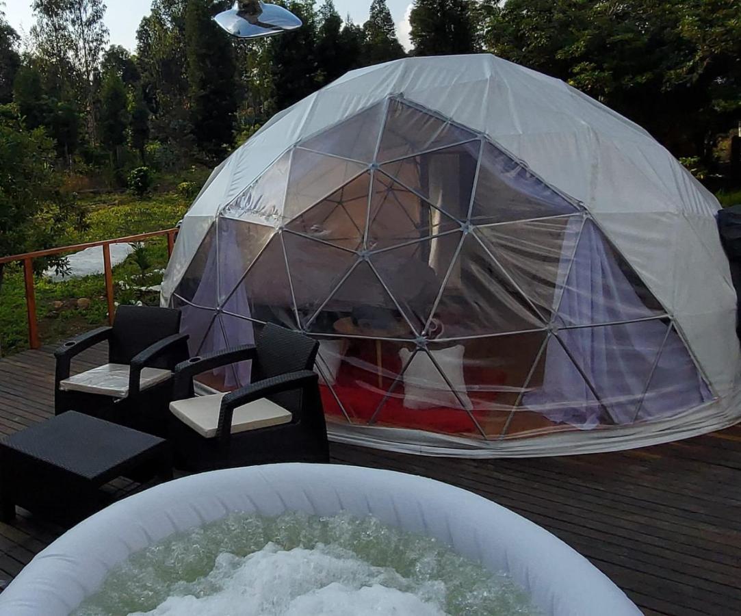 Domo -glamping Luna